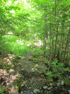 Appalachian Trail 