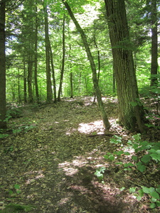 Appalachian Trail 