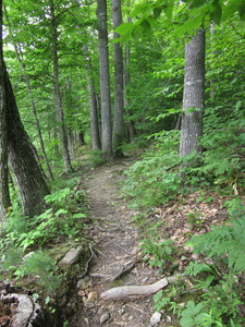 Appalachian Trail 