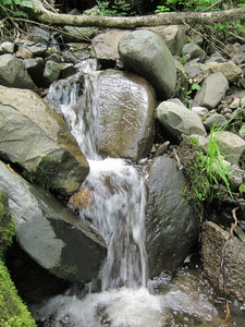 Appalachian Trail Small water fall