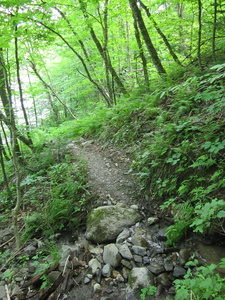 Appalachian Trail 