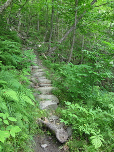 Appalachian Trail Steps