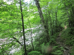 Appalachian Trail 