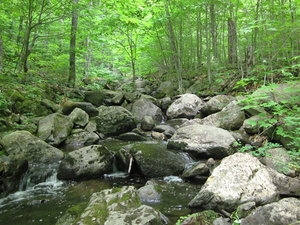 Appalachian Trail 