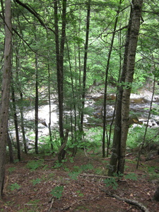 Appalachian Trail 