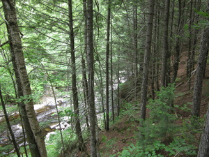 Appalachian Trail 