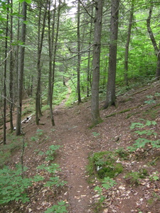 Appalachian Trail 