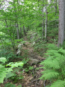 Appalachian Trail 