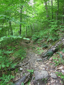 Appalachian Trail 