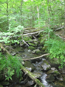 Appalachian Trail 