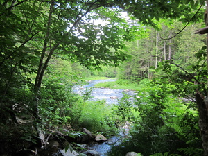 Appalachian Trail 