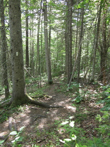 Appalachian Trail 