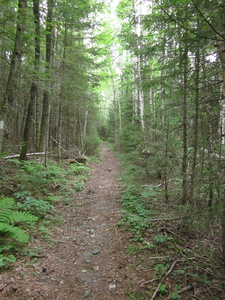 Appalachian Trail 