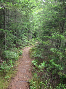 Appalachian Trail 