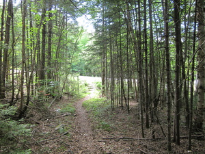 Appalachian Trail 