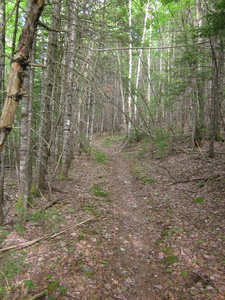 Appalachian Trail 