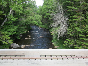 Appalachian Trail Road bridge over Bald Mountain Stream.  Off trail