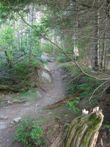 Appalachian Trail 