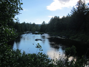 Appalachian Trail Bald Mountain Pond