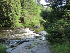 Appalachian Trail Ford with rope, Bald Mountain Stream - South side