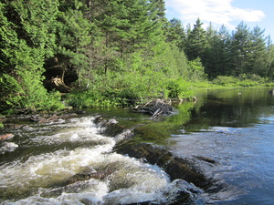 Appalachian Trail Bald Mountain Stream ford, South side