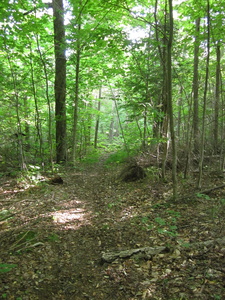 Appalachian Trail 