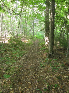 Appalachian Trail 