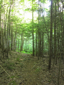 Appalachian Trail 