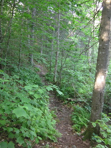 Appalachian Trail 