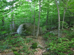 Appalachian Trail 