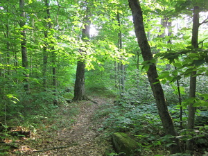 Appalachian Trail 