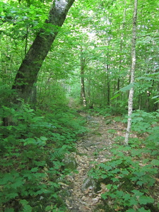 Appalachian Trail 