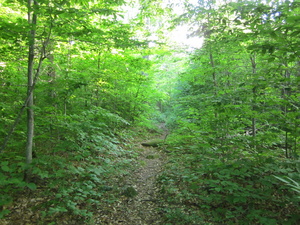 Appalachian Trail 