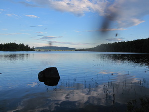 Appalachian Trail Bald Mountain Pond with bugs