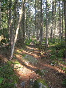 Appalachian Trail 