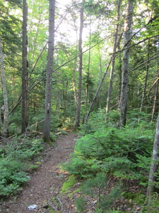 Appalachian Trail 