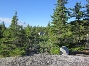 Appalachian Trail 