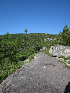 Appalachian Trail 