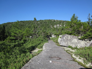 Appalachian Trail 