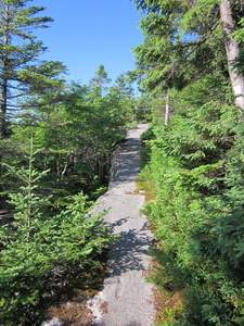 Appalachian Trail 