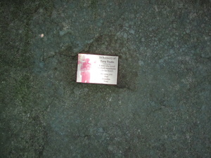 Appalachian Trail Memorial plaque for Tony Poulin. Needs to be removed