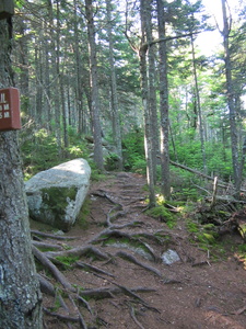 Appalachian Trail South end Moxie Bald bypass trail sign