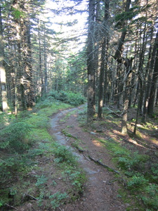 Appalachian Trail 