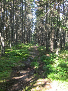 Appalachian Trail 