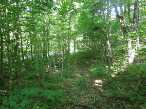 Appalachian Trail 