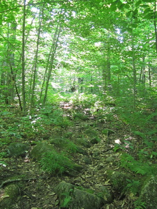 Appalachian Trail 