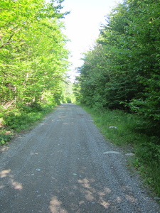 Appalachian Trail 