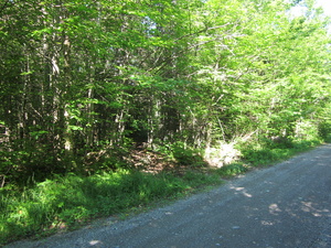 Appalachian Trail 