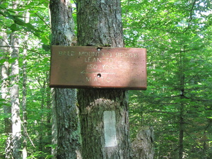 Appalachian Trail Bald Mountain Brook Lean-to sign - north end