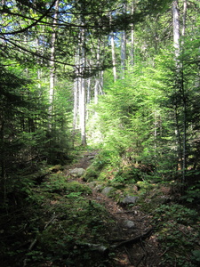 Appalachian Trail 